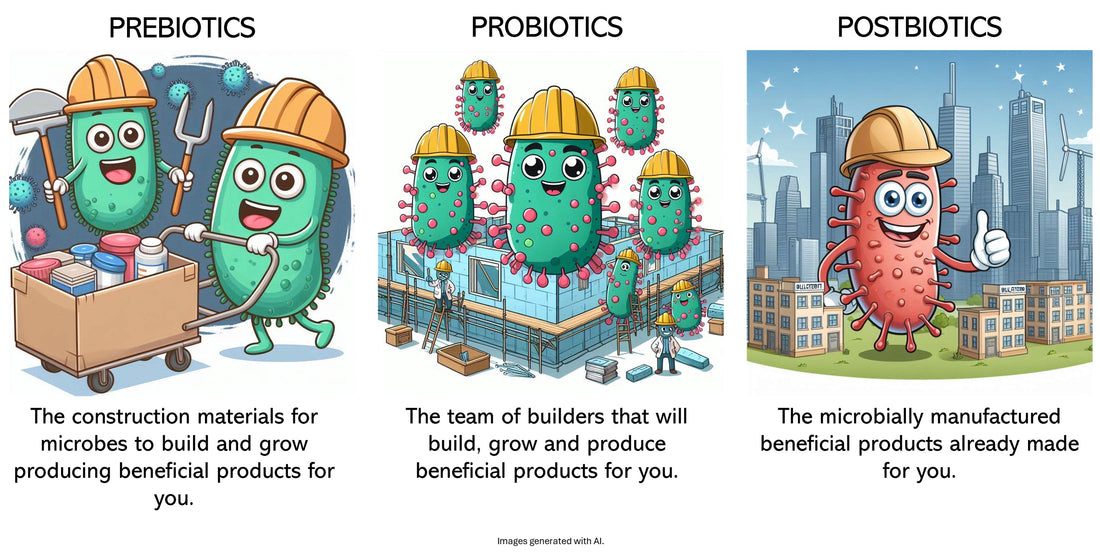 The prefixes of ‘biotics’. Three facts you need to know.